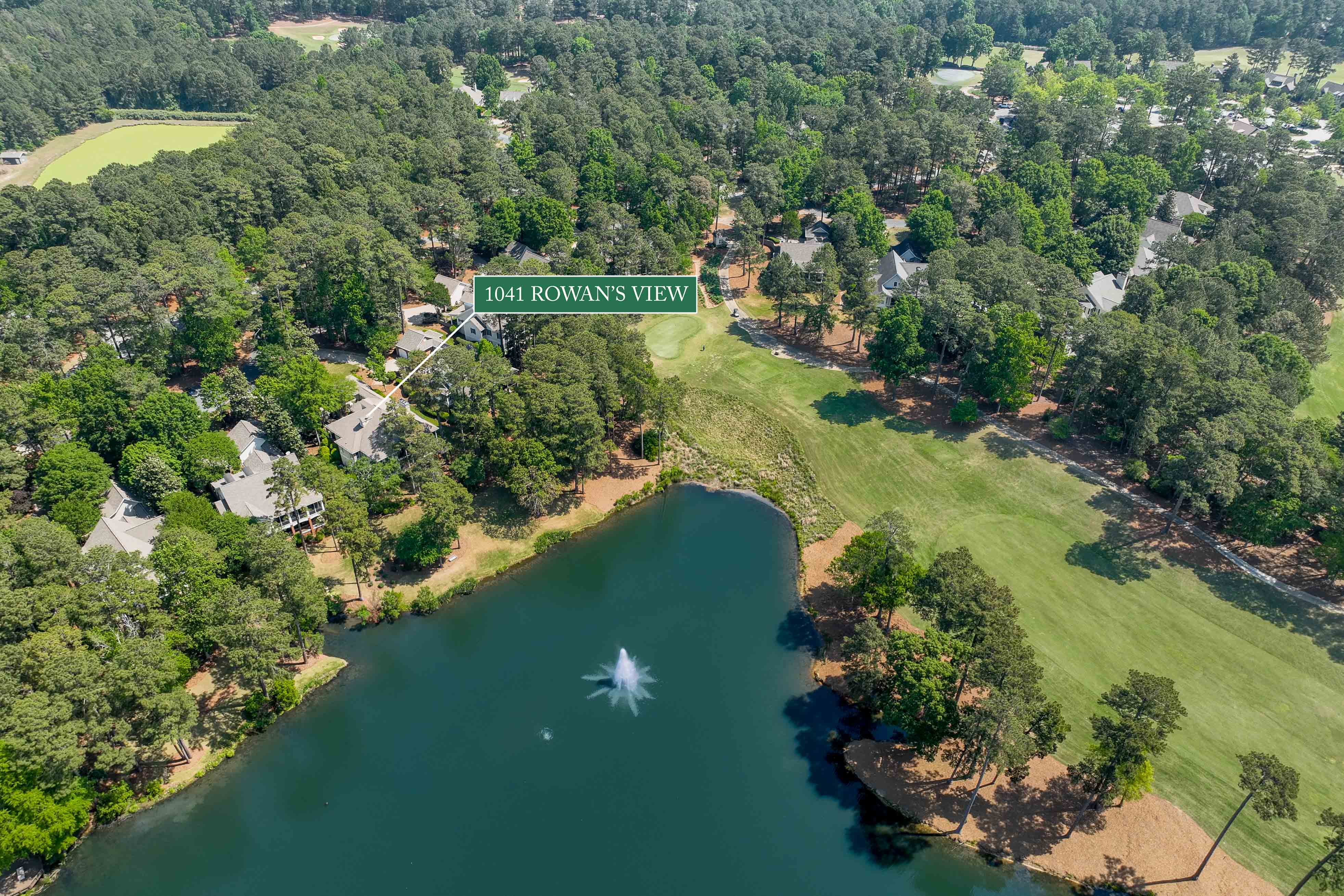 1041 Rowan's View image 50